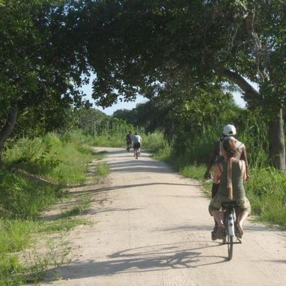 Meet your Posher, Megan - Picture 1 of 1